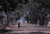Le piste del Malawi